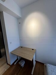 Sims Urban Oasis (D14), Condominium #548899311